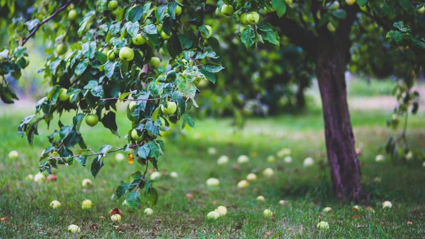 Sizi Doğanın Gücüne Davet Ediyoruz